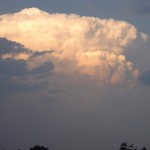 DSC05354