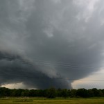 DSC_0733