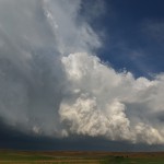 DSC_1803