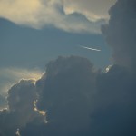 DSC_6346