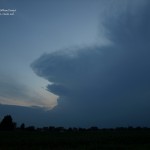 Fotografie miste annata 2010